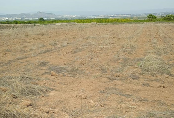 Terreno en  La Pobla De Vallbona, Valencia/valència Provincia