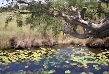 Lote de Terreno en  San Miguel, Rioverde