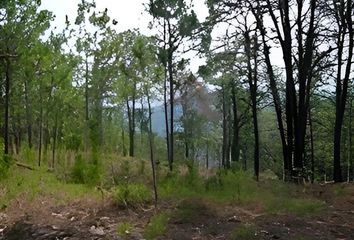 Lote de Terreno en  Sultepec, Estado De México