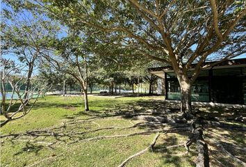 Lote de Terreno en  Pueblo Cholul, Mérida, Yucatán