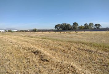 Lote de Terreno en  Tepojaco, Tizayuca