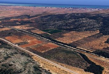 Terreno en  Cabanes, Castellón/castelló Provincia, Castellón Provincia