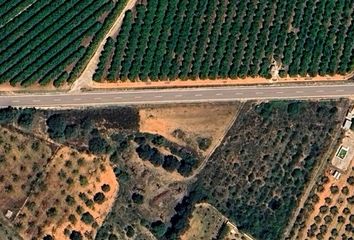 Terreno en  Alcala De Xivert, Castellón Provincia