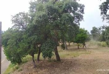 Terreno en  Bescano, Girona Provincia