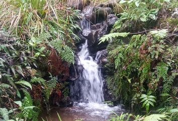 Parcela en  Quilaco, Bío-bío