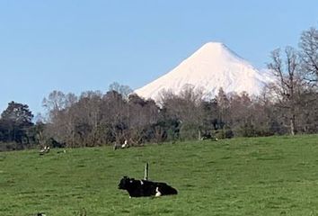 Parcela en  Río Negro, Osorno