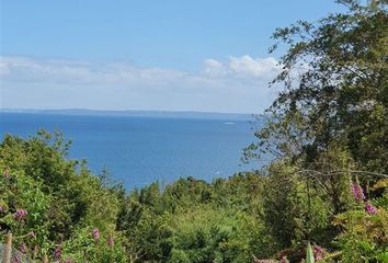 Parcela en  Puerto Montt, Llanquihue