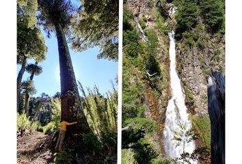 Parcela en  Melipeuco, Cautín