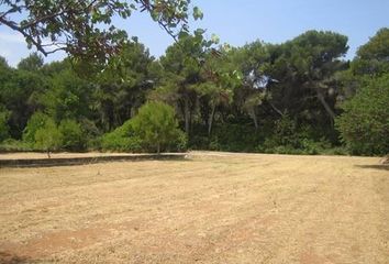 Terreno en  Dénia, Alicante Provincia