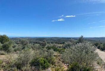 Terreno en  San Jorge, Castellón Provincia