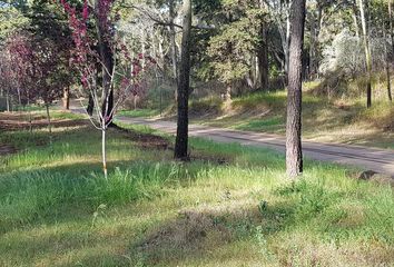 Terrenos en  Otro, Pinamar