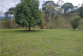 Lote de Terreno en  San Carlos, Antioquía