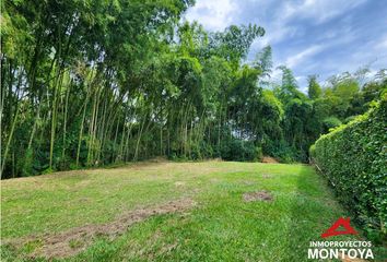 Lote de Terreno en  Cerritos, Pereira