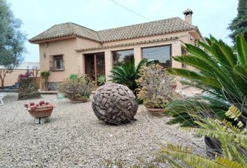 Chalet en  Chiclana De La Frontera, Cádiz Provincia