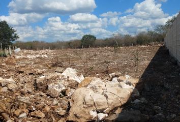 Lote de Terreno en  Pueblo Dzitya, Mérida, Yucatán