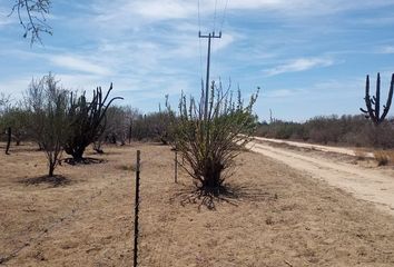 Lote de Terreno en  El Carrizal, Baja California Sur