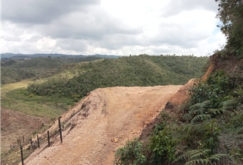 Lote de Terreno en  San Vicente, Antioquia