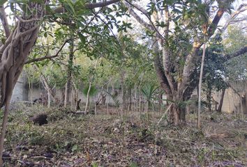 Lote de Terreno en  Alfredo V. Bonfil, Cancún, Quintana Roo