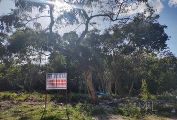 Lote de Terreno en  Doctores Ii, Cancún, Quintana Roo