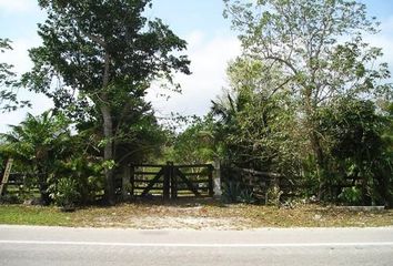 Lote de Terreno en  Colonia Benito Juárez, Cancún, Quintana Roo