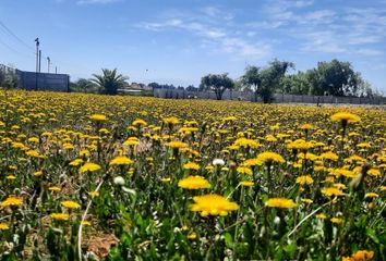 Parcela en  Linares, Linares