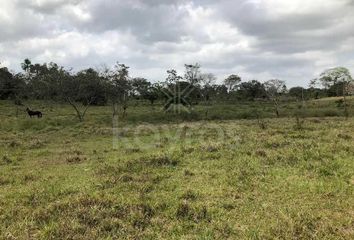 Lote de Terreno en  La Castellana, Montería