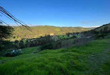 Parcela en  Navidad, Cardenal Caro