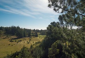 Parcela en  Navidad, Cardenal Caro