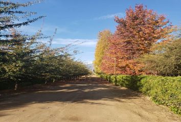 Parcela en  San Fernando, Colchagua