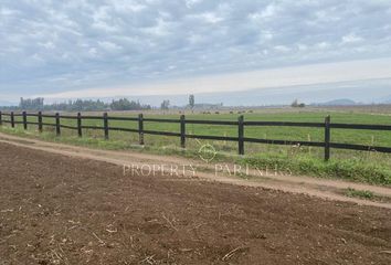 Parcela en  San Fernando, Colchagua