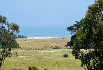 Parcela en  Pichilemu, Cardenal Caro