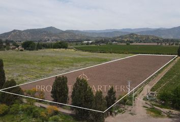 Parcela en  Palmilla, Colchagua