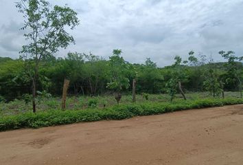 Lote de Terreno en  San Miguel Del Puerto, Oaxaca