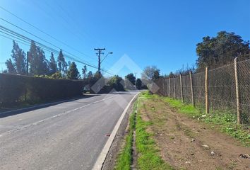 Parcela en  Isla De Maipo, Talagante