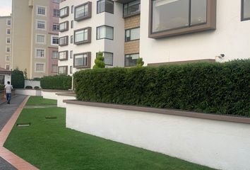 Departamento en  Avenida Veracruz, Cuajimalpa, Cuajimalpa De Morelos, Ciudad De México, 05000, Mex