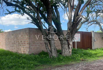 Lote de Terreno en  Calle Vereda De Las Violetas, Fraccionamiento Los Sauces, Tlajomulco De Zúñiga, Jalisco, 45675, Mex