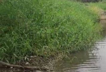 Terreno en  Tambo Grande, Piura