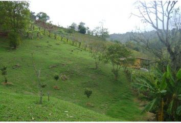 Lote de Terreno en  Marinilla, Antioquia