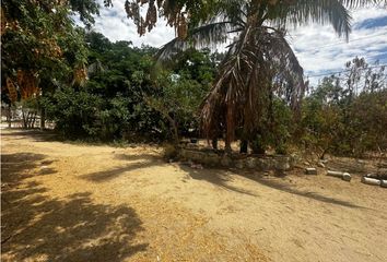Lote de Terreno en  San Lucas, Baja California Sur