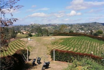 Lote de Terreno en  San Vicente, Antioquia