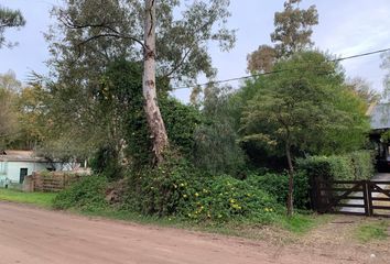 Terrenos en  Otro, Monte Hermoso