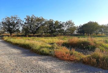 Lote de Terreno en  Colonia Club De Golf Los Azulejos, Torreón