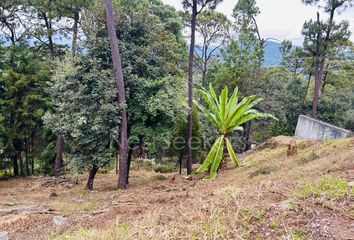 Lote de Terreno en  Avándaro, Valle De Bravo