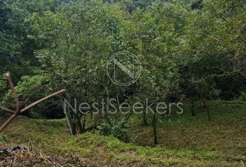 Lote de Terreno en  Santa María Ahuacatlan, Valle De Bravo