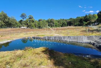 Lote de Terreno en  Valle De Bravo, Valle De Bravo