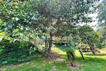 Lote de Terreno en  La Candelaria, Valle De Bravo