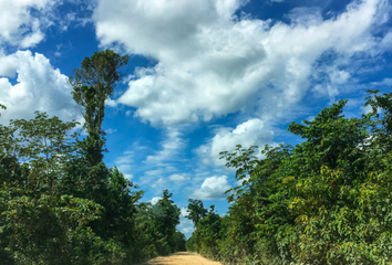 Lote de Terreno en  Temax, Yucatán