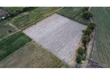 Lote de Terreno en  Campoalegre, El Cerrito Valle Del Cauca