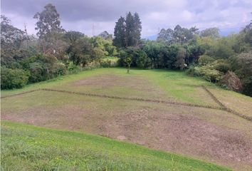 Lote de Terreno en  Centro, Pereira