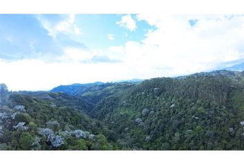 Lote de Terreno en  Centro, Pereira